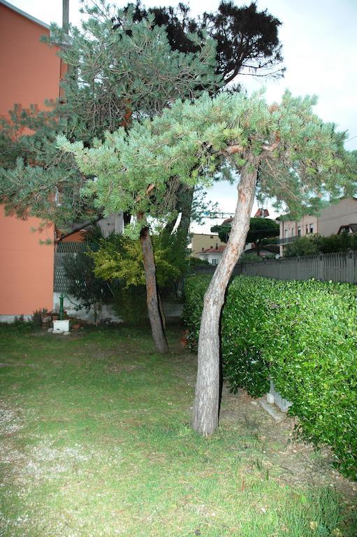 Villa Linda Affittacamere Bellaria-Igea Marina Exterior photo